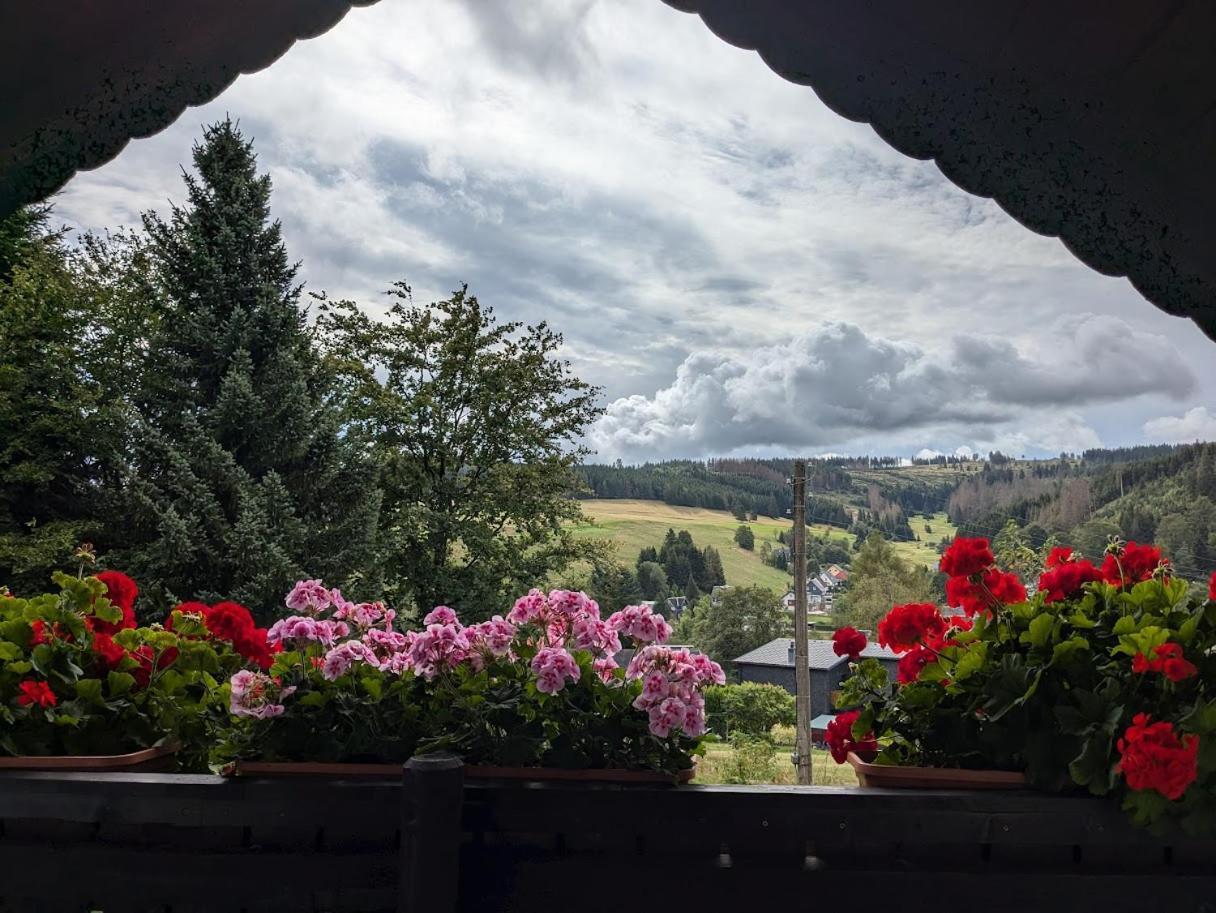 Ferienhaus Panoramablick Piesau Εξωτερικό φωτογραφία